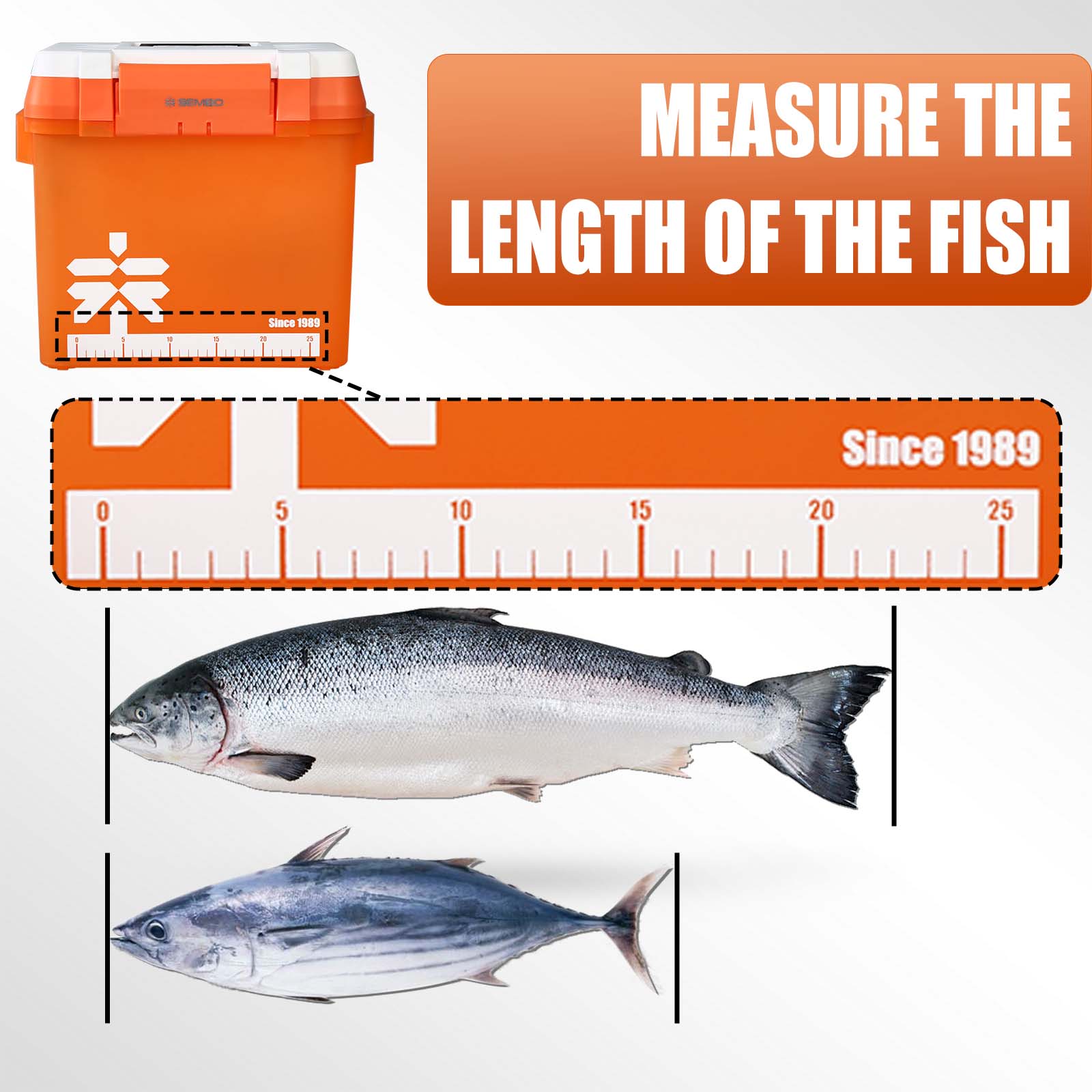 ZUKIBO 21L Large Capacity Fish – Fish Finder Case Bewertung und Preis